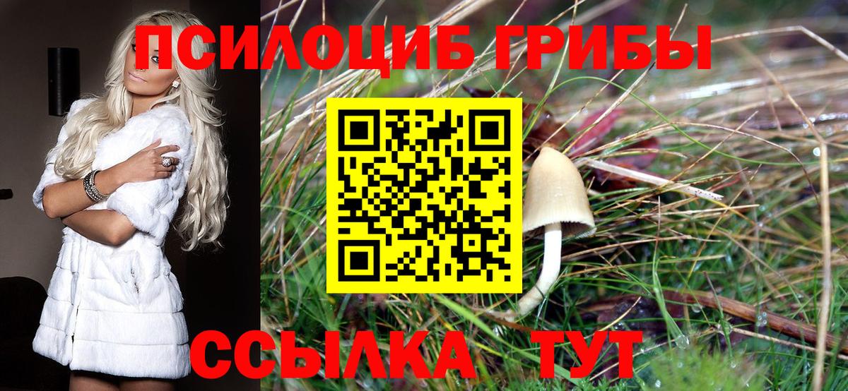 Псилоцибиновые грибы MAGIC MUSHROOMS Белая Калитва