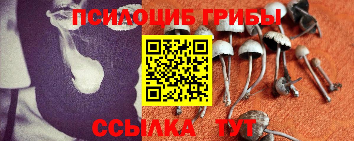 Белая Калитва  Псилоцибиновые грибы GOLDEN TEACHER  Вход с VPN  Галлюциногенные грибы MAGIC MUSHROOMS 